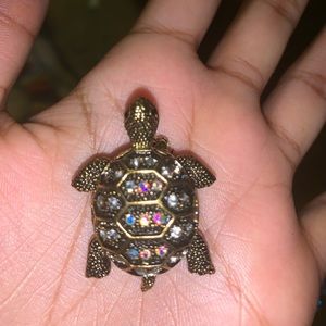 Beautiful turtle brooch!!!